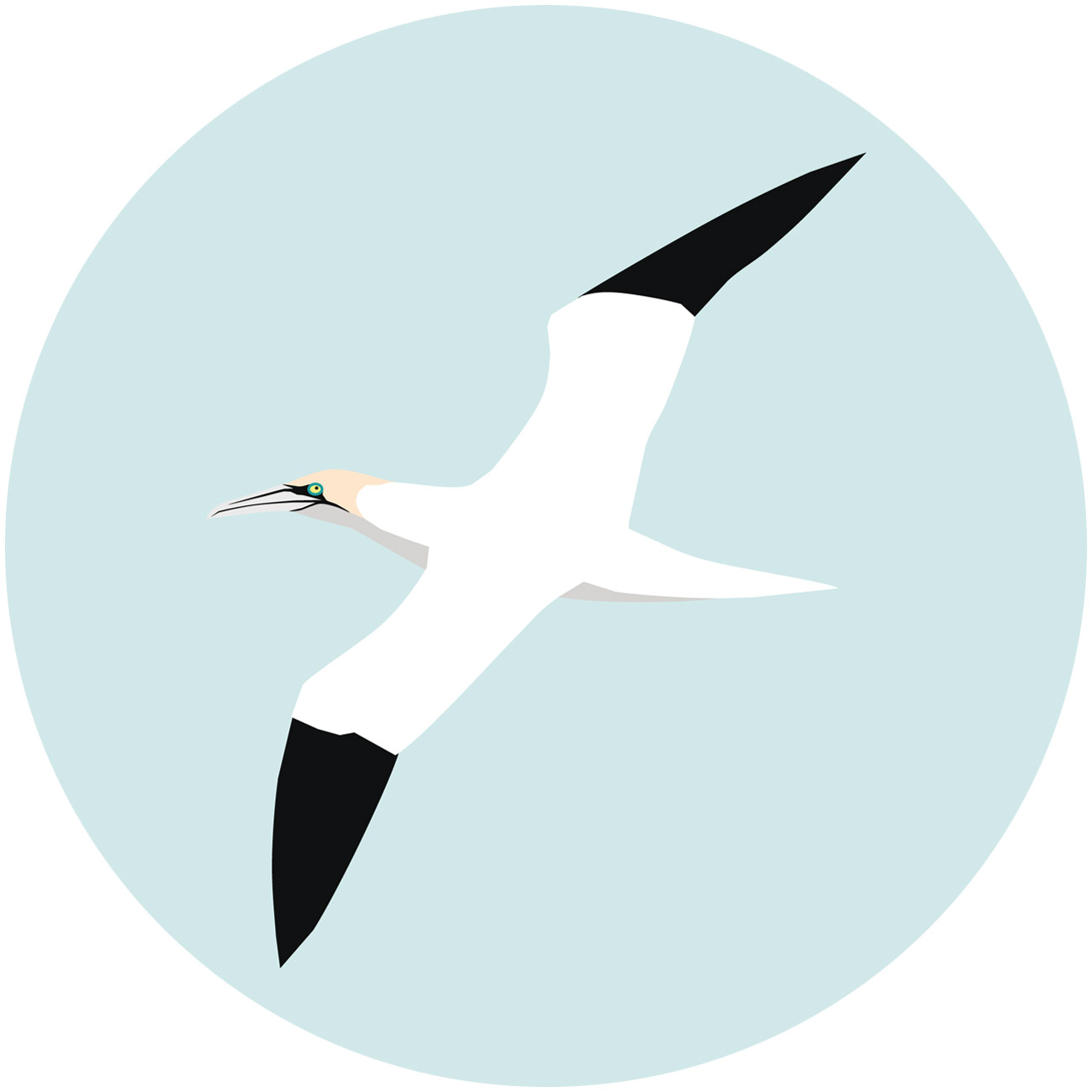 Alcatraz atlantico 2